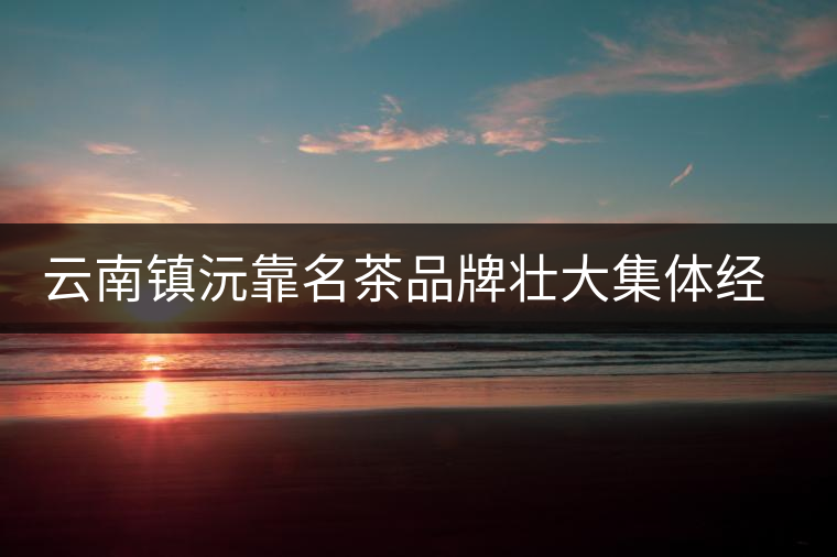 云南鎮(zhèn)沅靠名茶品牌壯大集體經(jīng)濟(jì) 云南鎮(zhèn)沅靠名茶品牌壯大集體經(jīng)濟(jì)