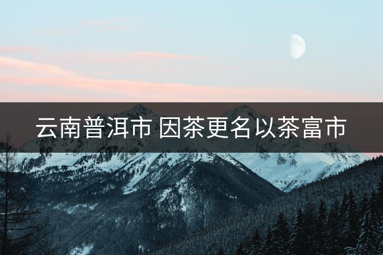 云南普洱市 因茶更名以茶富市 云南普洱市 因茶更名以茶富市