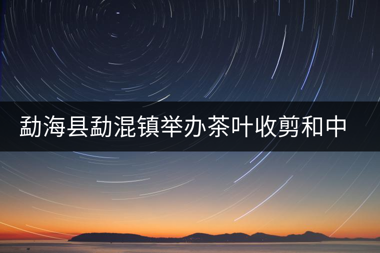 勐?？h勐混鎮(zhèn)舉辦茶葉收剪和中耕培土現(xiàn)場培訓(xùn)會