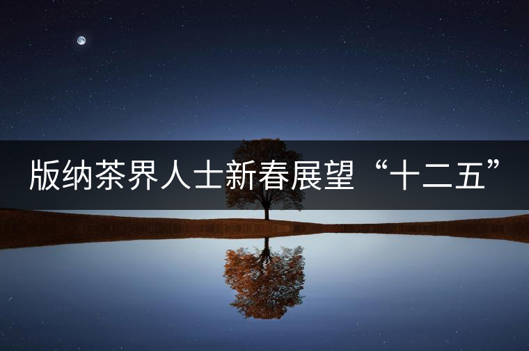 版納茶界人士新春展望“十二五”