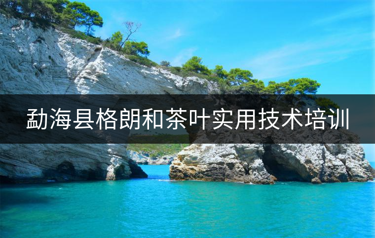 勐?？h格朗和茶葉實用技術(shù)培訓(xùn)