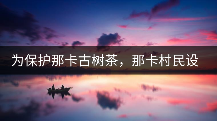 為保護那卡古樹茶，那卡村民設(shè)公約牌