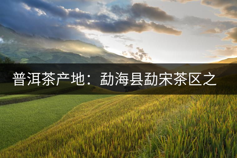 普洱茶產(chǎn)地：勐?？h勐宋茶區(qū)之那卡