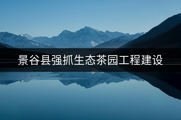 景谷縣強抓生態(tài)茶園工程建設 景谷縣強抓生態(tài)茶園工程建設