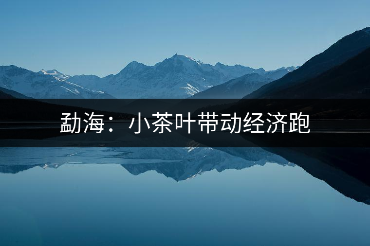 勐海：小茶葉帶動經(jīng)濟跑