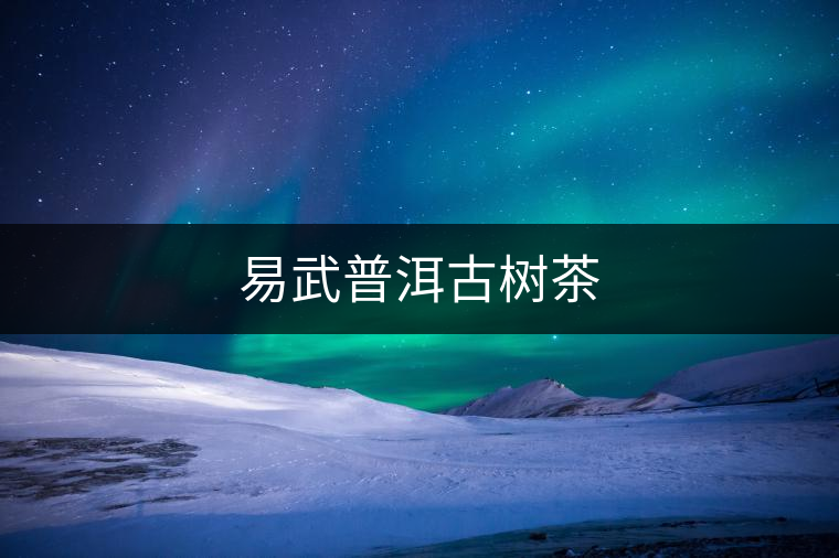 易武普洱古樹(shù)茶