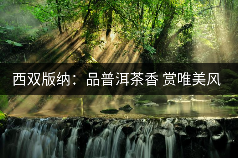 西雙版納:品普洱茶香 賞唯美風景 西雙版納:品普洱茶香 賞唯美風景
