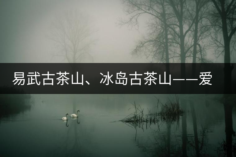 易武古茶山、冰島古茶山——愛(ài)茶人的旅游選擇