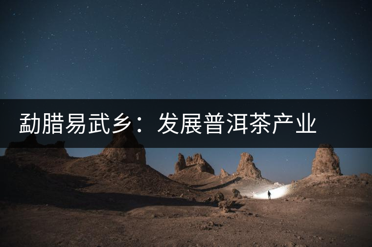 勐臘易武鄉(xiāng)：發(fā)展普洱茶產業(yè)  打造“中國貢茶第一鎮(zhèn)”
