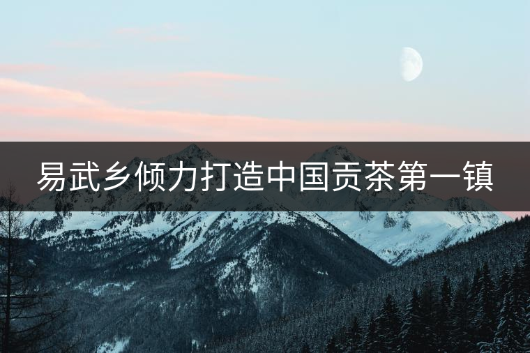 易武鄉(xiāng)傾力打造中國貢茶第一鎮(zhèn) 易武鄉(xiāng)傾力打造中國貢茶第一鎮(zhèn)