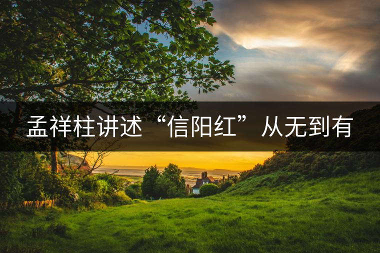 孟祥柱講述“信陽紅”從無到有