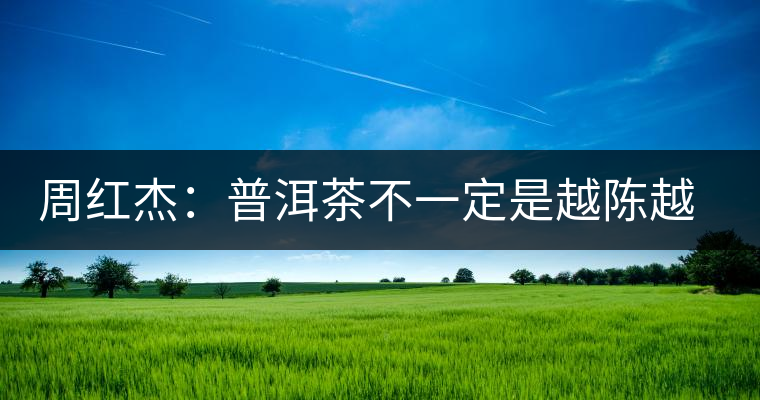 周紅杰：普洱茶不一定是越陳越香、越陳越好
