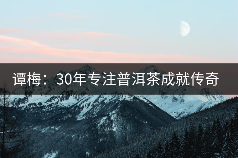 譚梅：30年專(zhuān)注普洱茶成就傳奇人生