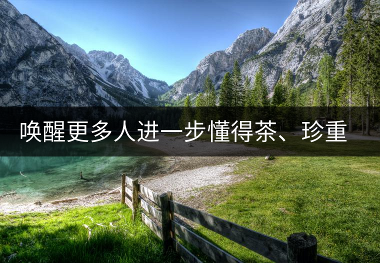 喚醒更多人進(jìn)一步懂得茶、珍重茶、享受茶