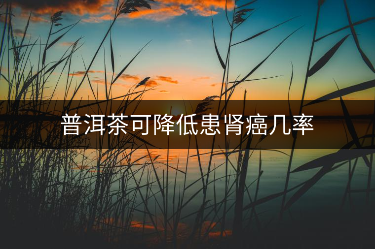 普洱茶可降低患腎癌幾率 普洱茶可降低患腎癌幾率