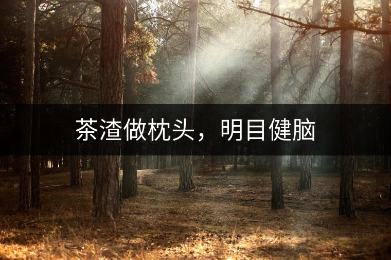 茶渣做枕頭，明目健腦
