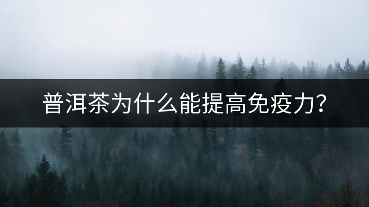 普洱茶為什么能提高免疫力？