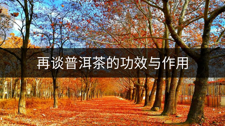 再談普洱茶的功效與作用 再談普洱茶的功效與作用