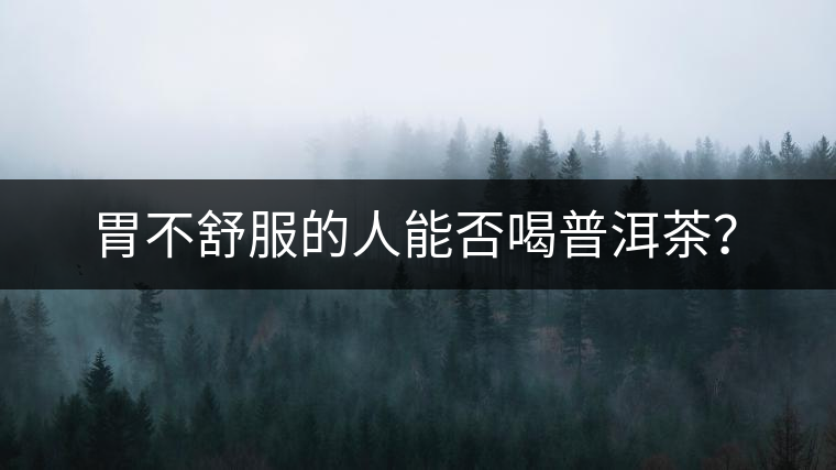 胃不舒服的人能否喝普洱茶? 胃不舒服的人能否喝普洱茶?