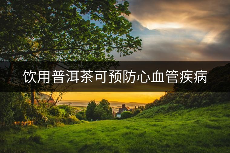 飲用普洱茶可預防心血管疾病 飲用普洱茶可預防心血管疾病