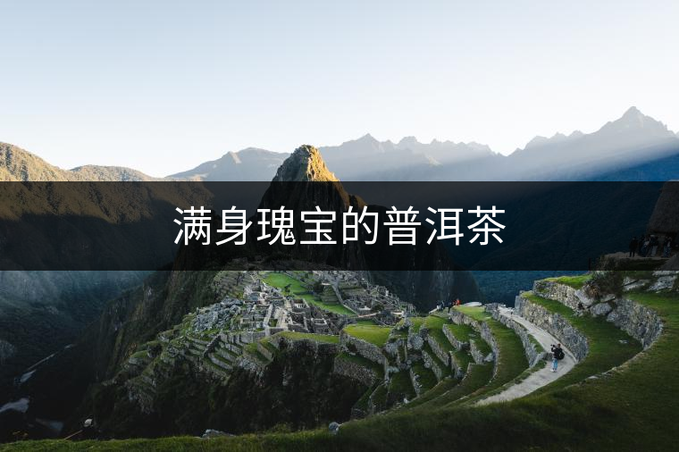 滿身瑰寶的普洱茶