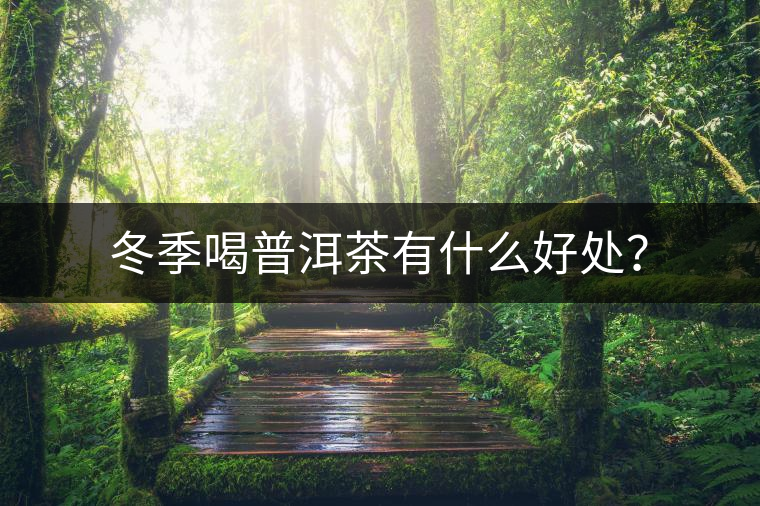 冬季喝普洱茶有什么好處？