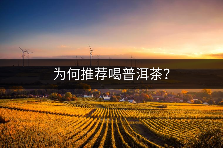 為何推薦喝普洱茶？