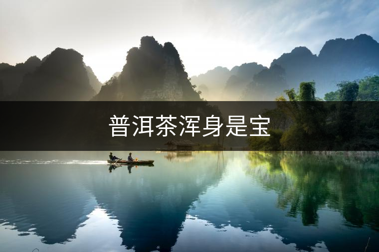 普洱茶渾身是寶 普洱茶渾身是寶