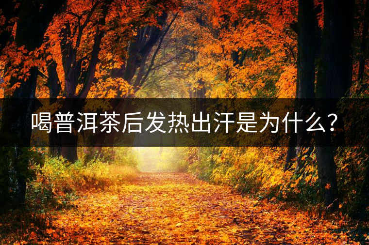 喝普洱茶后發(fā)熱出汗是為什么？