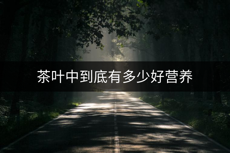 茶葉中到底有多少好營(yíng)養(yǎng) 茶葉中到底有多少好營(yíng)養(yǎng)