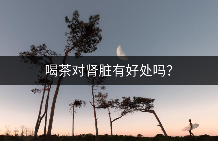 喝茶對腎臟有好處嗎？