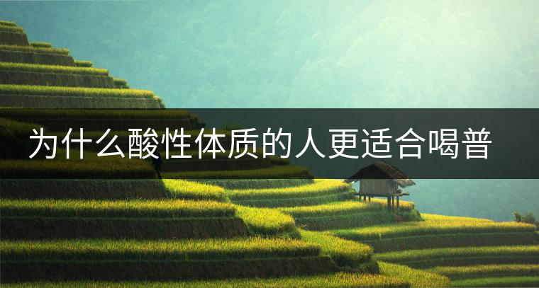 為什么酸性體質(zhì)的人更適合喝普洱茶？