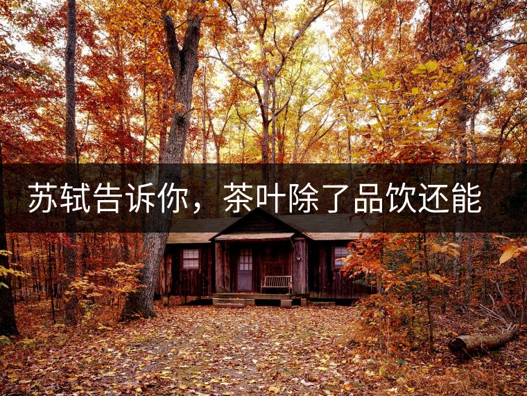 蘇軾告訴你，茶葉除了品飲還能做什么？