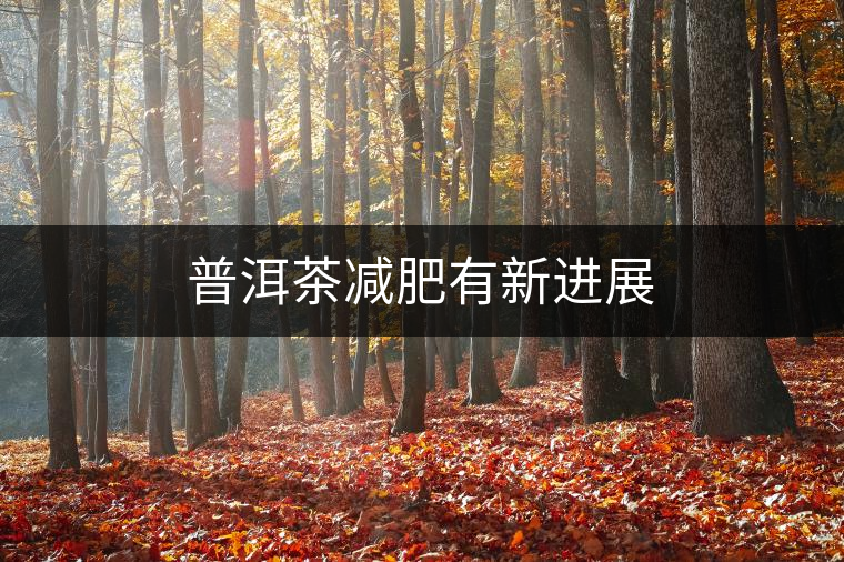 普洱茶減肥有新進(jìn)展 普洱茶減肥有新進(jìn)展