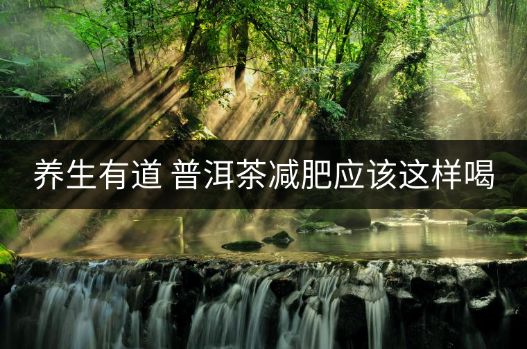 養(yǎng)生有道 普洱茶減肥應該這樣喝 養(yǎng)生有道 普洱茶減肥應該這樣喝