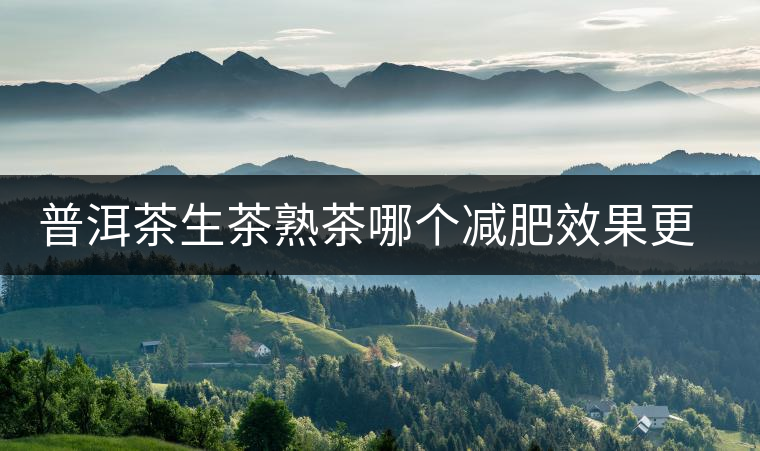 普洱茶生茶熟茶哪個(gè)減肥效果更好