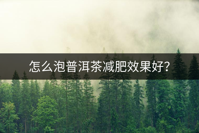 怎么泡普洱茶減肥效果好？