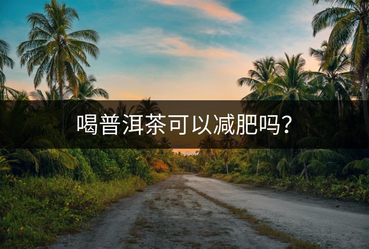 喝普洱茶可以減肥嗎？