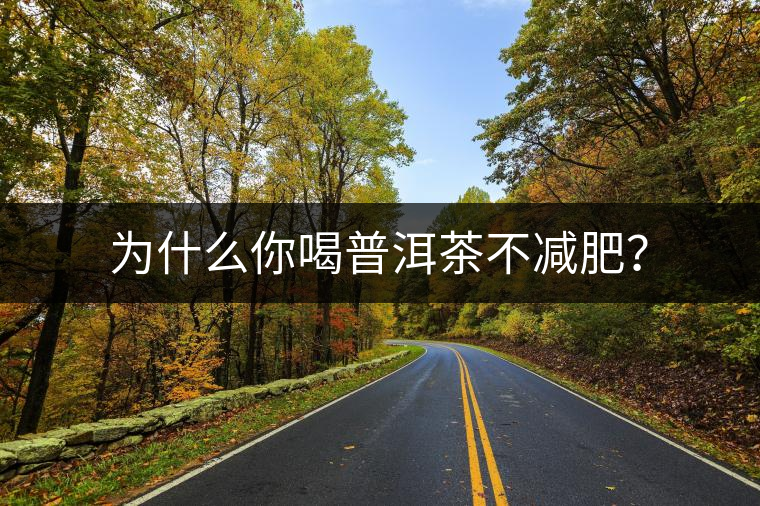 為什么你喝普洱茶不減肥？