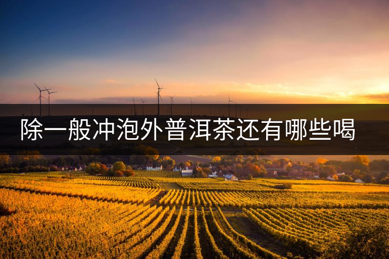 除一般沖泡外普洱茶還有哪些喝法？