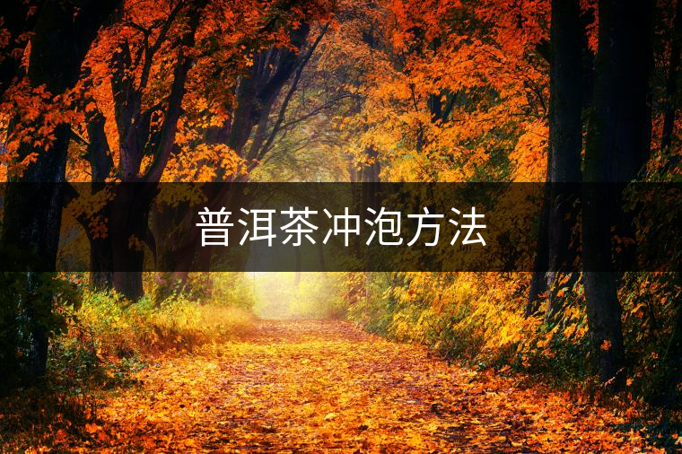 普洱茶沖泡方法