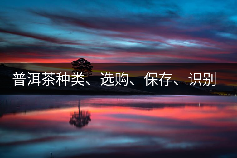 普洱茶種類、選購(gòu)、保存、識(shí)別、沖泡