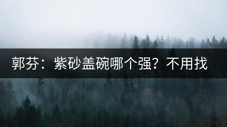 郭芬：紫砂蓋碗哪個(gè)強(qiáng)？不用找藍(lán)翔
