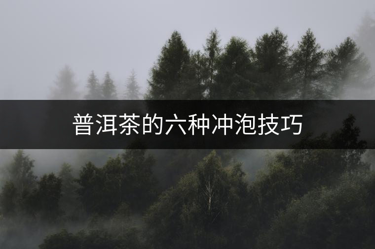 普洱茶的六種沖泡技巧 普洱茶的六種沖泡技巧