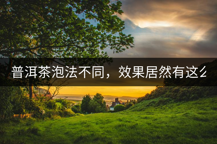 普洱茶泡法不同，效果居然有這么大區(qū)別！