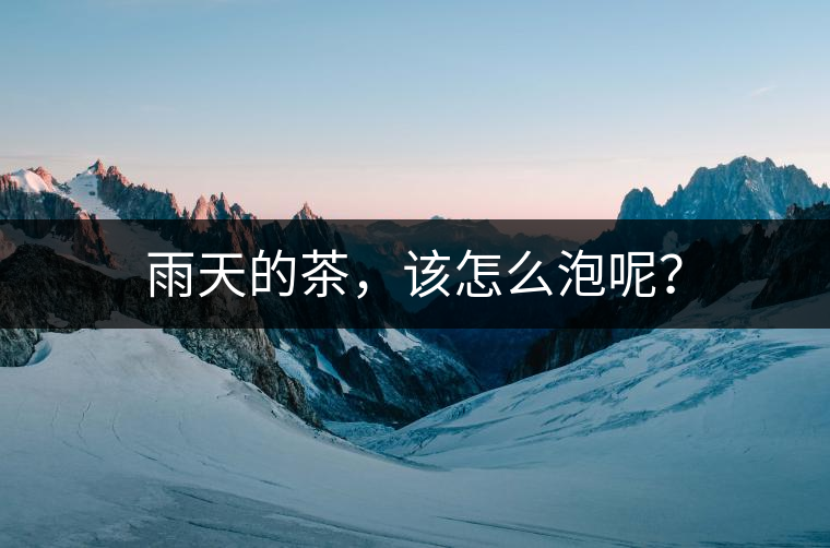 雨天的茶，該怎么泡呢？