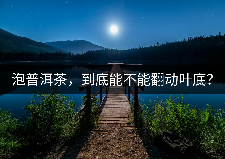 泡普洱茶，到底能不能翻動(dòng)葉底？