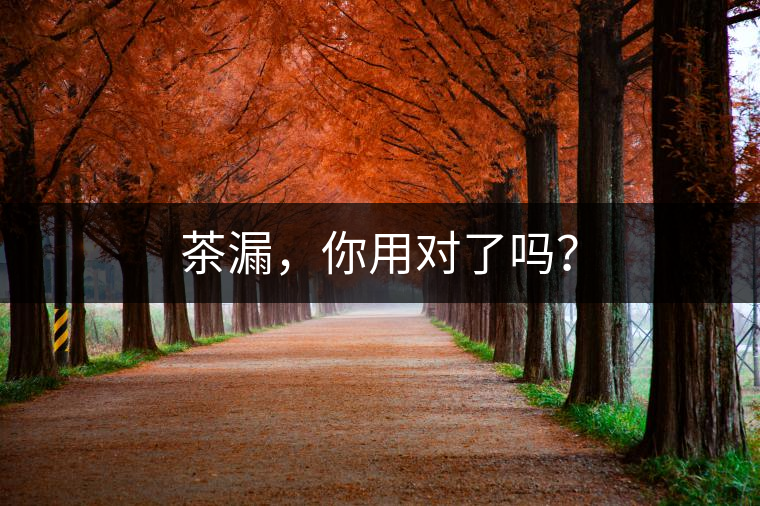 茶漏，你用對(duì)了嗎？