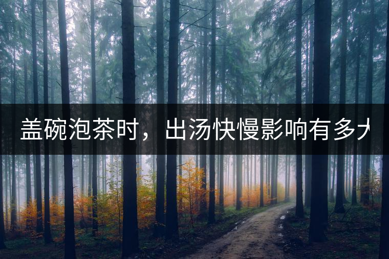 蓋碗泡茶時，出湯快慢影響有多大？