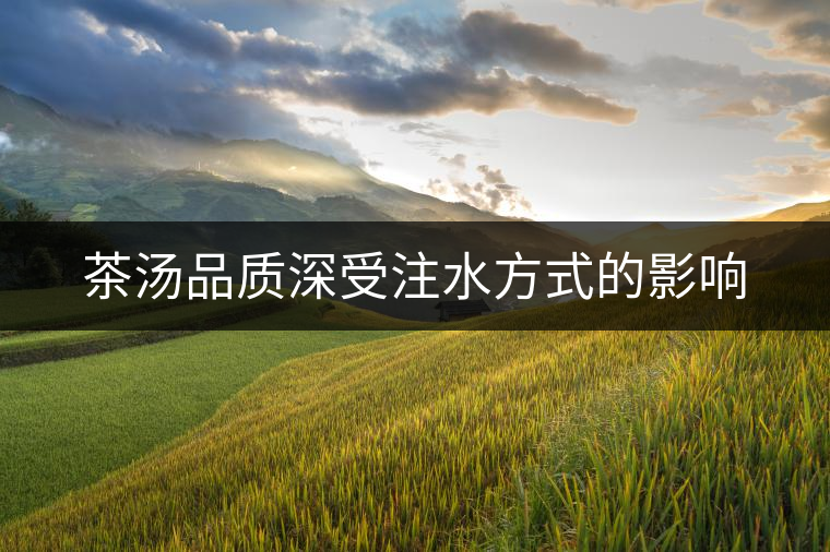 茶湯品質(zhì)深受注水方式的影響 茶湯品質(zhì)深受注水方式的影響